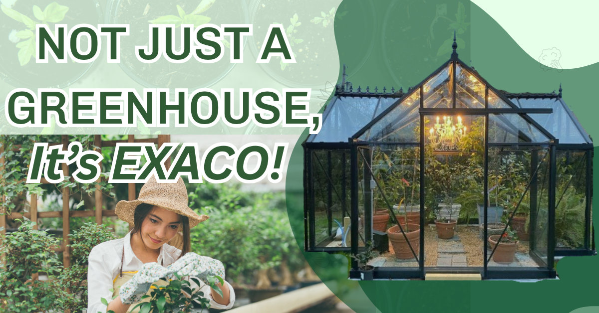 Why Choose an Exaco Greenhouse? Benefits and Options Explained