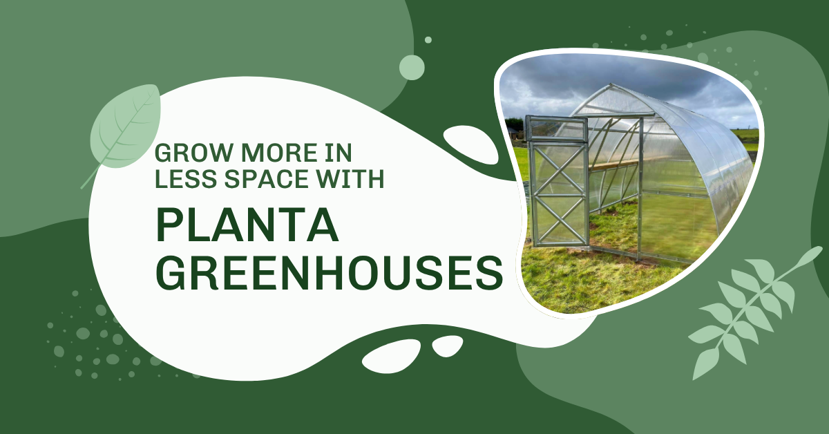 How Planta Greenhouses Help You Grow More in Less Space