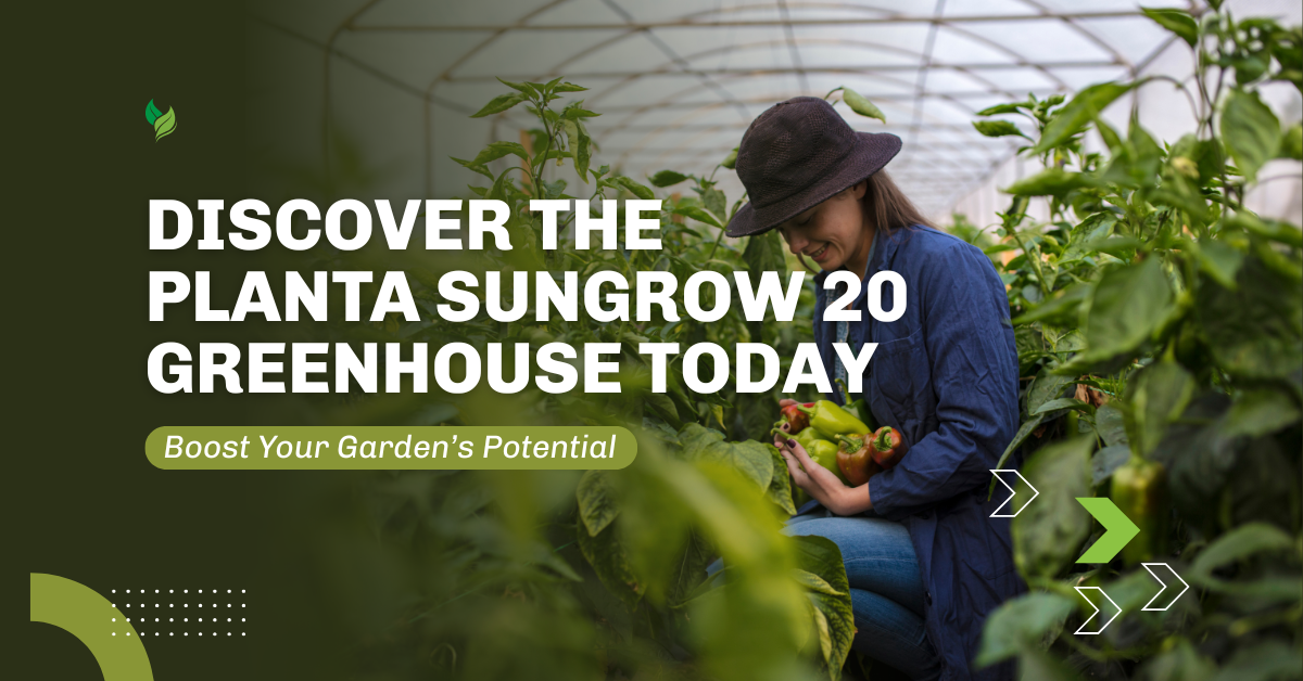 Top Reasons Why Gardeners Upgrade to the Planta Sungrow 20