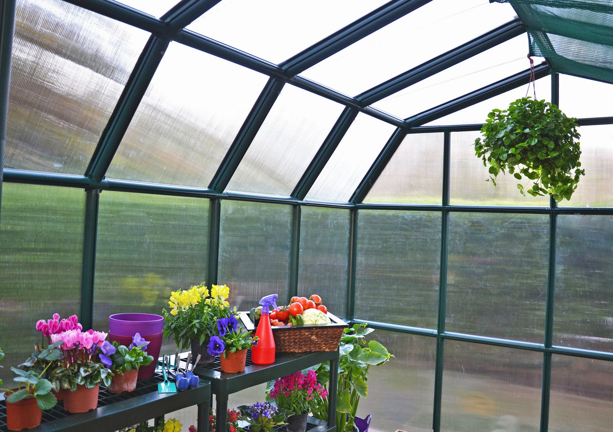 Grand Gardener 2™ Resin 8x8x8.ft Greenhouse - Dive To Garden