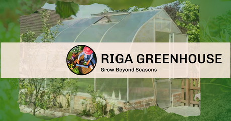 Why Riga Greenhouses Are Ideal for Year-Round Gardening