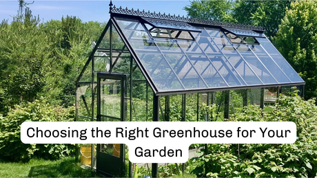 Choosing the Right Greenhouse for Your Garden