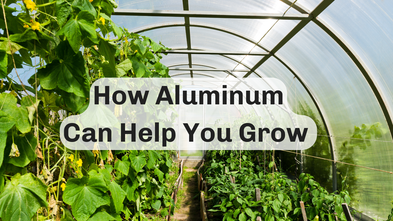 The Glamorous Greenhouse: How Aluminum Can Help You Grow Like a Pro