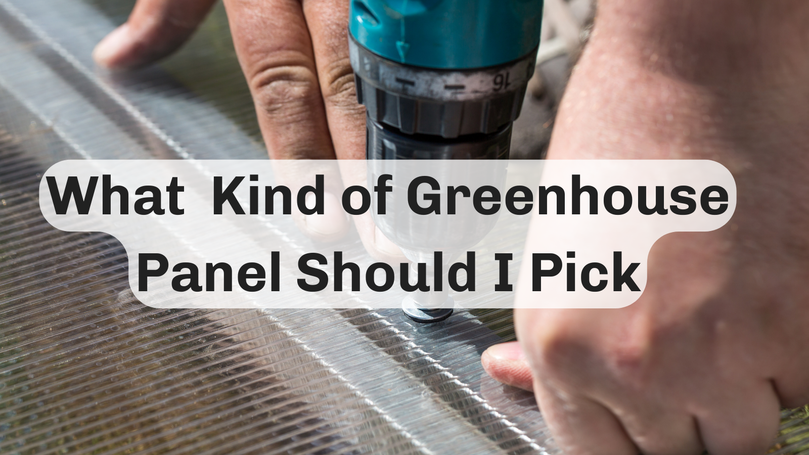 What kind of greenhouse panel should I pick?