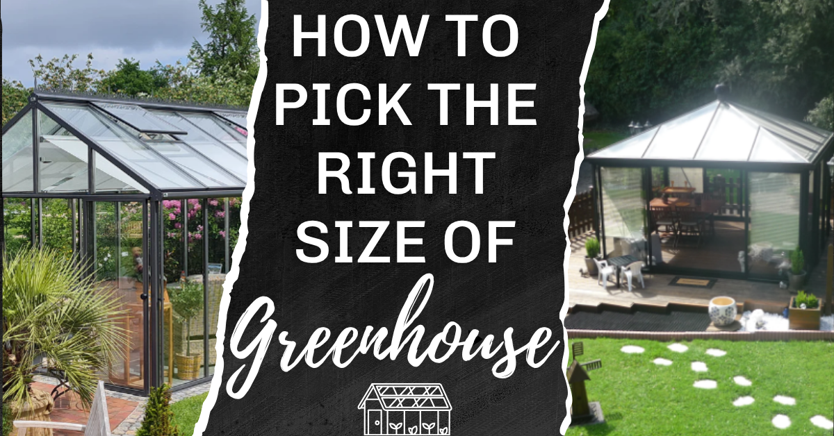 How to pick the right size of greenhouse