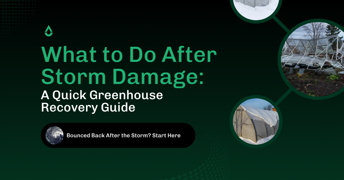 Step-by-step plan after storm damage to your greenhouse