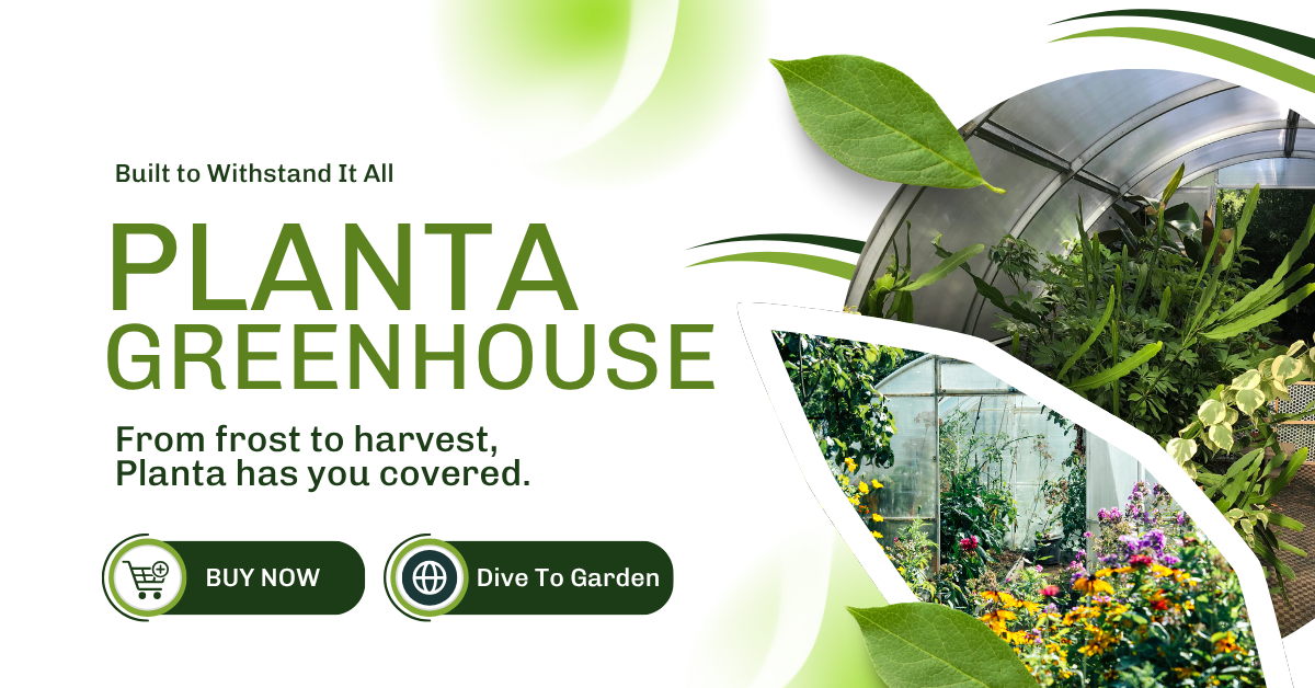 What Can You Grow in a Planta Greenhouse Year-Round?