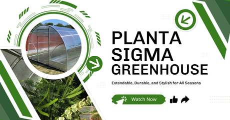Planta Sigma Greenhouse Installation Video 2019