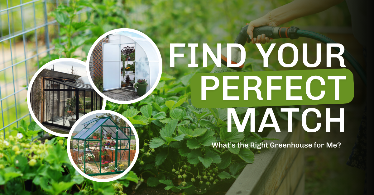 Which type of greenhouse suits me?