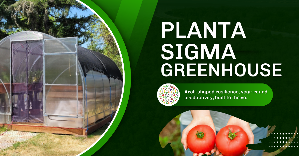 Planta Sigma Installation Video 2022
