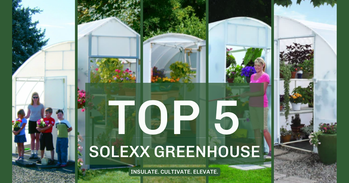 Top 5 Solexx Panel Greenhouses  For Summer Gardening Success