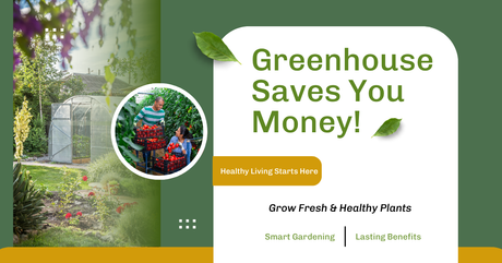 How Greenhouse Helps You Save Money and Live Healthier