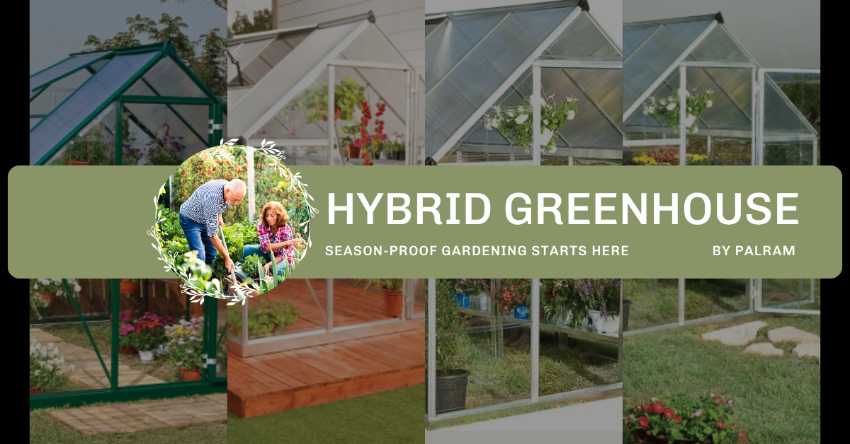 Where to Buy Palram Hybrid Greenhouse at the Best Price