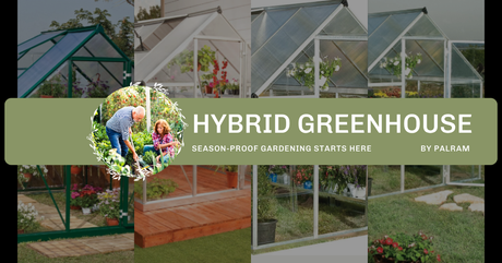 Where to Buy Palram Hybrid Greenhouse at the Best Price