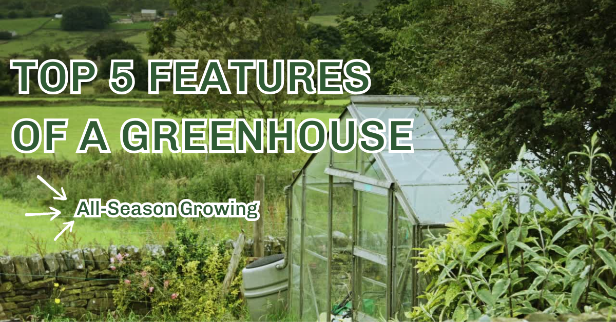Top 5 Features to Look for in a Professional Greenhouse for All-Season Growing