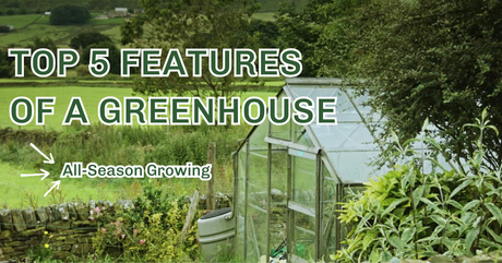Top 5 Features to Look for in a Professional Greenhouse for All-Season Growing
