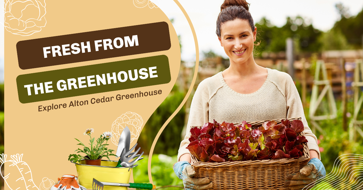 Everything You Need to Know About Alton Cedar Greenhouses