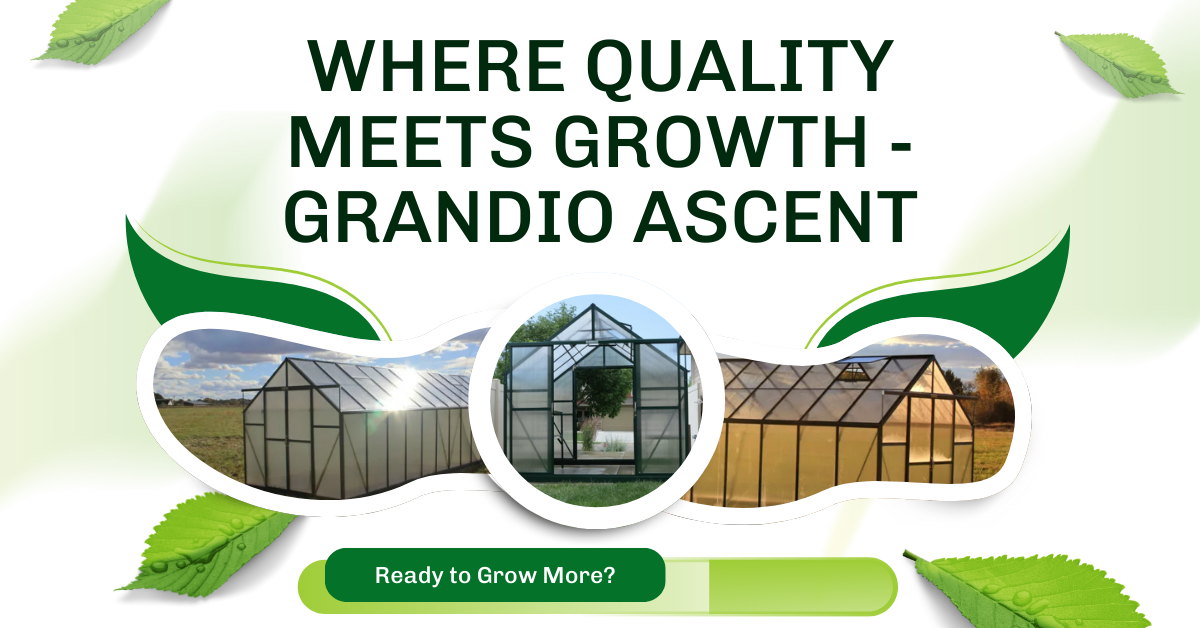 5 Things to Know Before Buying a Grandio Ascent Greenhouse