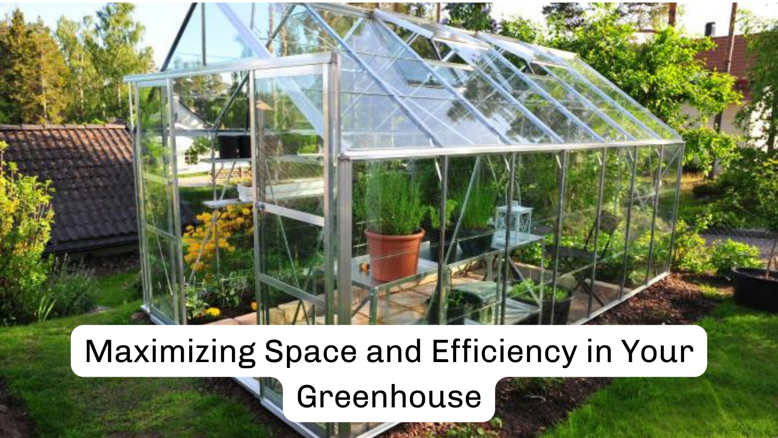 Maximizing Space and Efficiency in Your Greenhouse