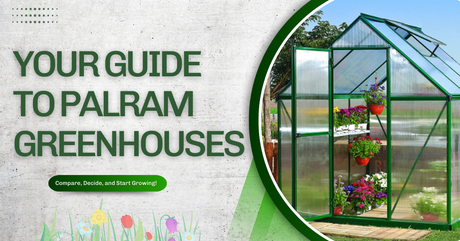 Is the Palram Mythos Greenhouse Worth Buying for Home Gardeners?