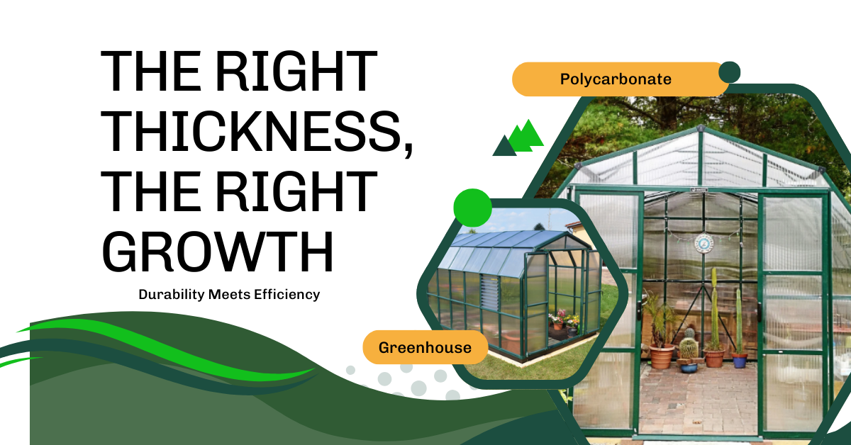 How Thick Should Polycarbonate Panels Be for a Greenhouse?