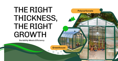 How Thick Should Polycarbonate Panels Be for a Greenhouse?