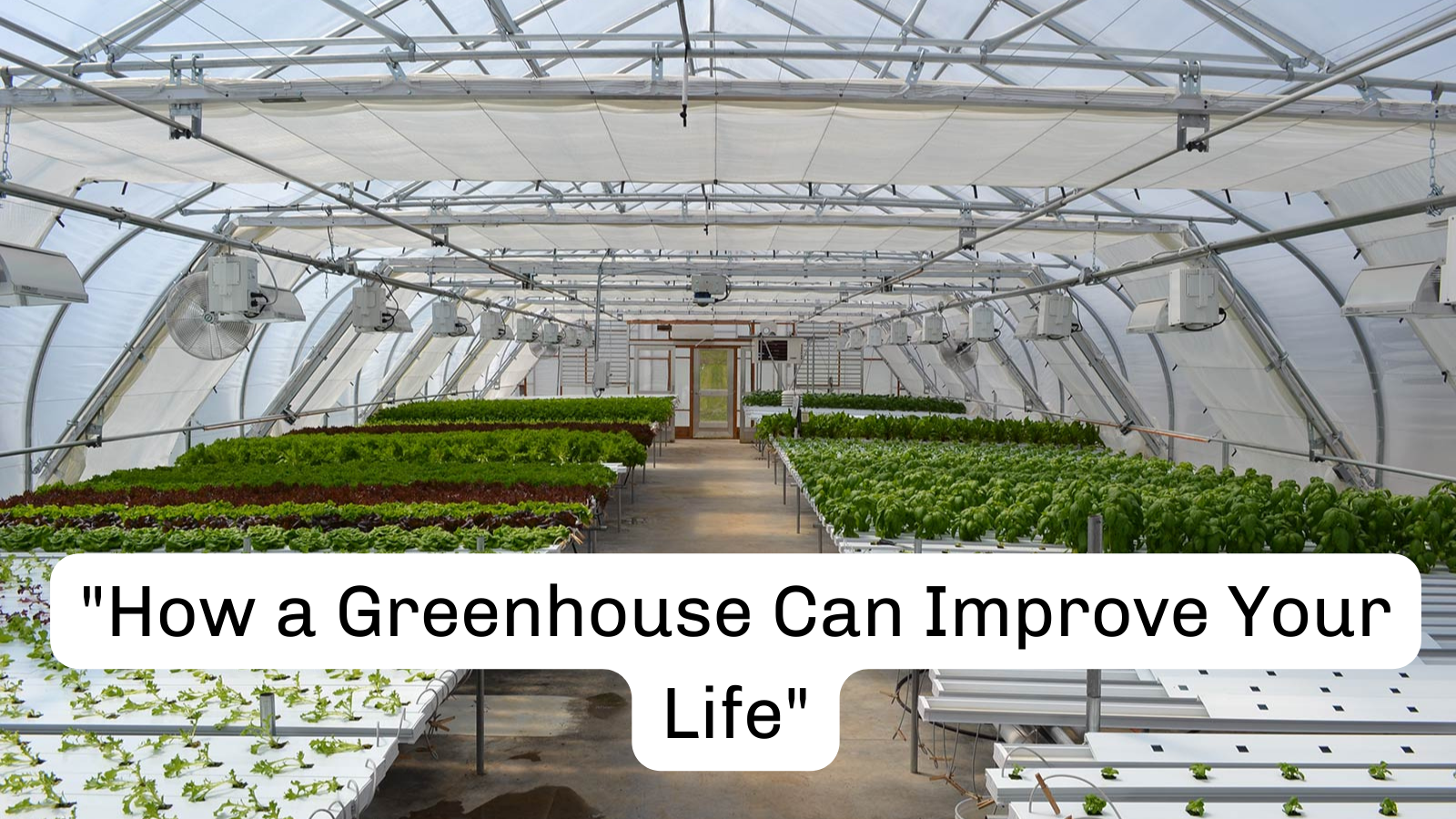 How a Greenhouse Can Improve Your Life