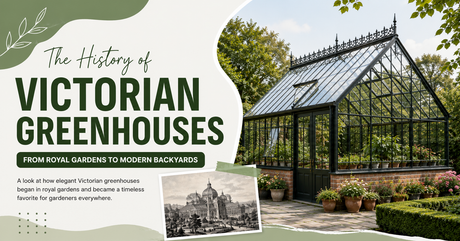 The History of Victorian Greenhouses: From Royal Gardens to Modern Backyards