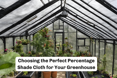 Choosing the Perfect Percentage Shade Cloth for Your Greenhouse