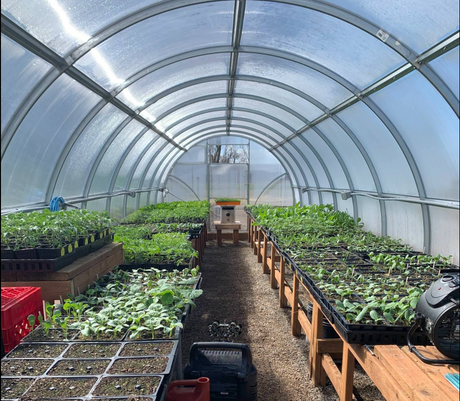 Planta Sigma Greenhouses Kit