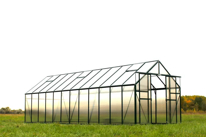 Ascent 8X8X24.ft Greenhouse