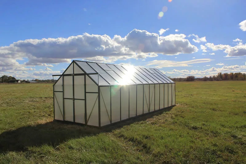Ascent 8X8X24.ft Greenhouse
