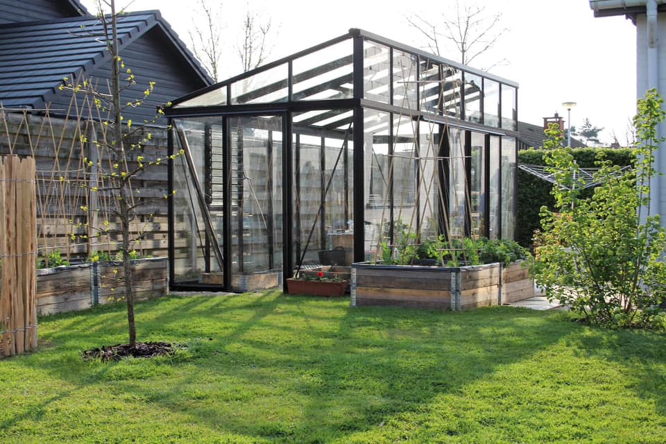 Modern Premium Pent-Roof Glass Greenhouse