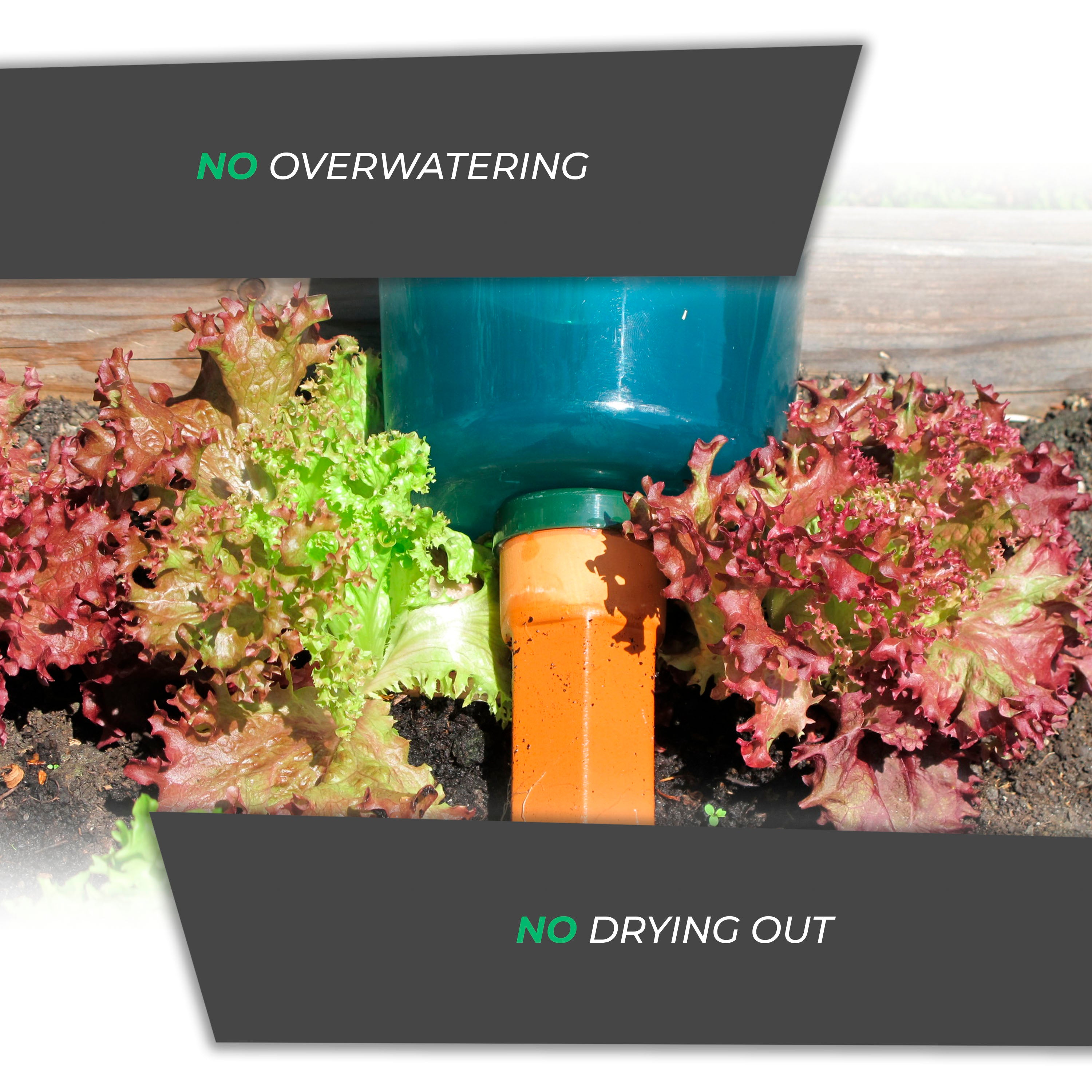 Hydro Cup Self Watering Spikes