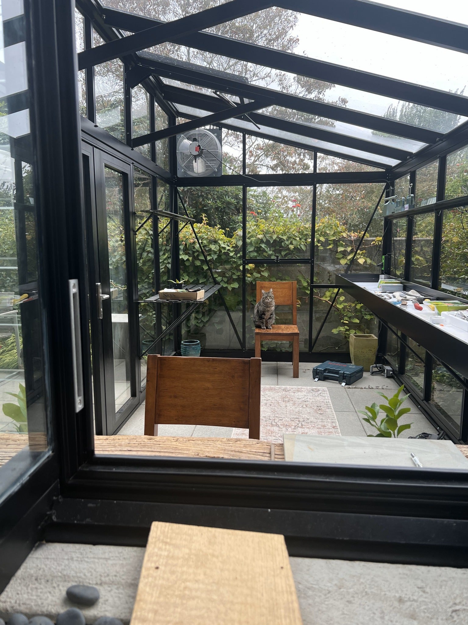Modern Premium Pent-Roof Glass Greenhouse