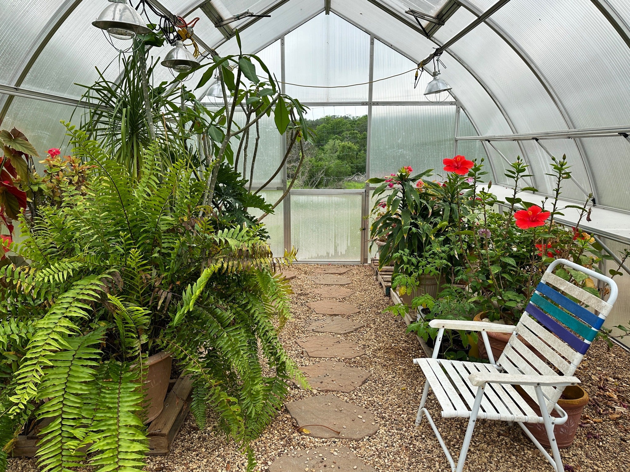 RIGA XL 5™ 14X9X16.ft Greenhouse (Limited Stock)