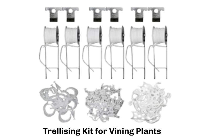 Grandio Trellising Kit for Vining Plants