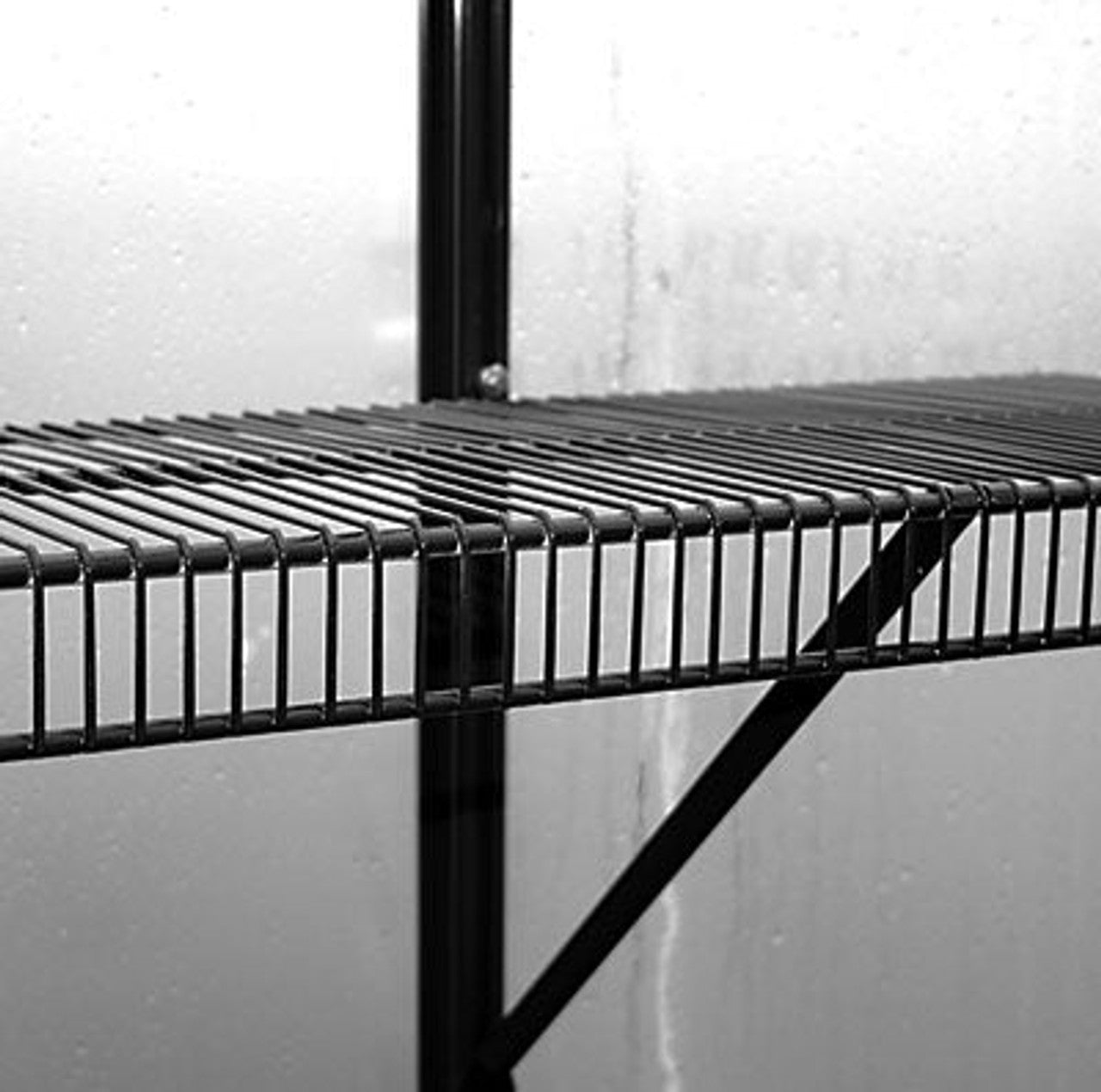 Wire Shelf with Braces for Winter Gardenz™ Greenhouses