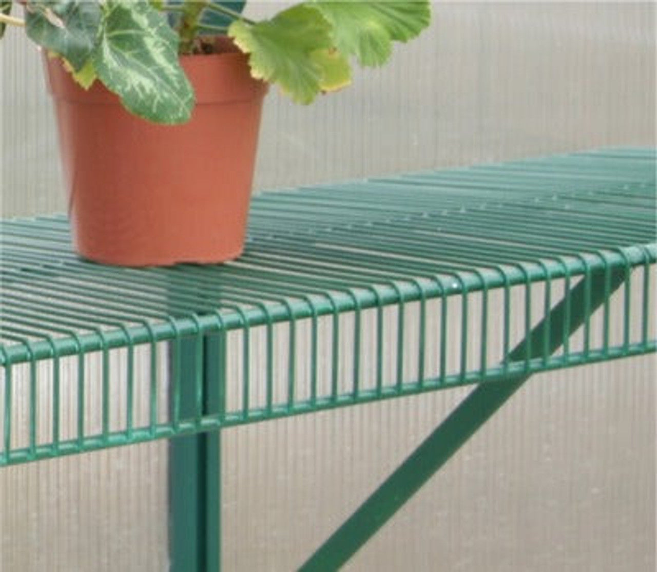 Wire Shelf with Braces for Winter Gardenz™ Greenhouses