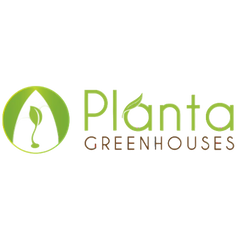 Planta