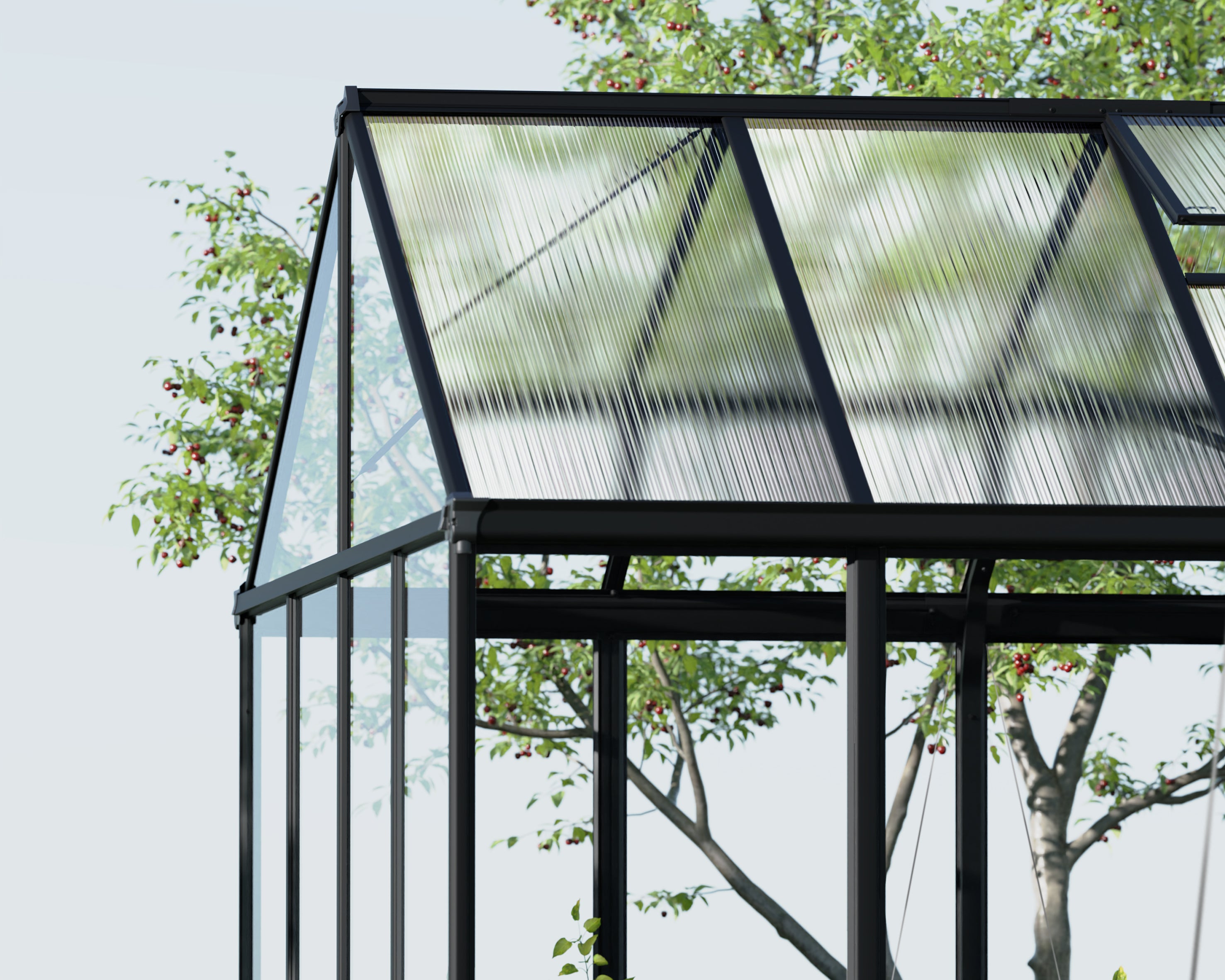 Aria 10x9x10.ft Clear wall Heavy Duty Greenhouse