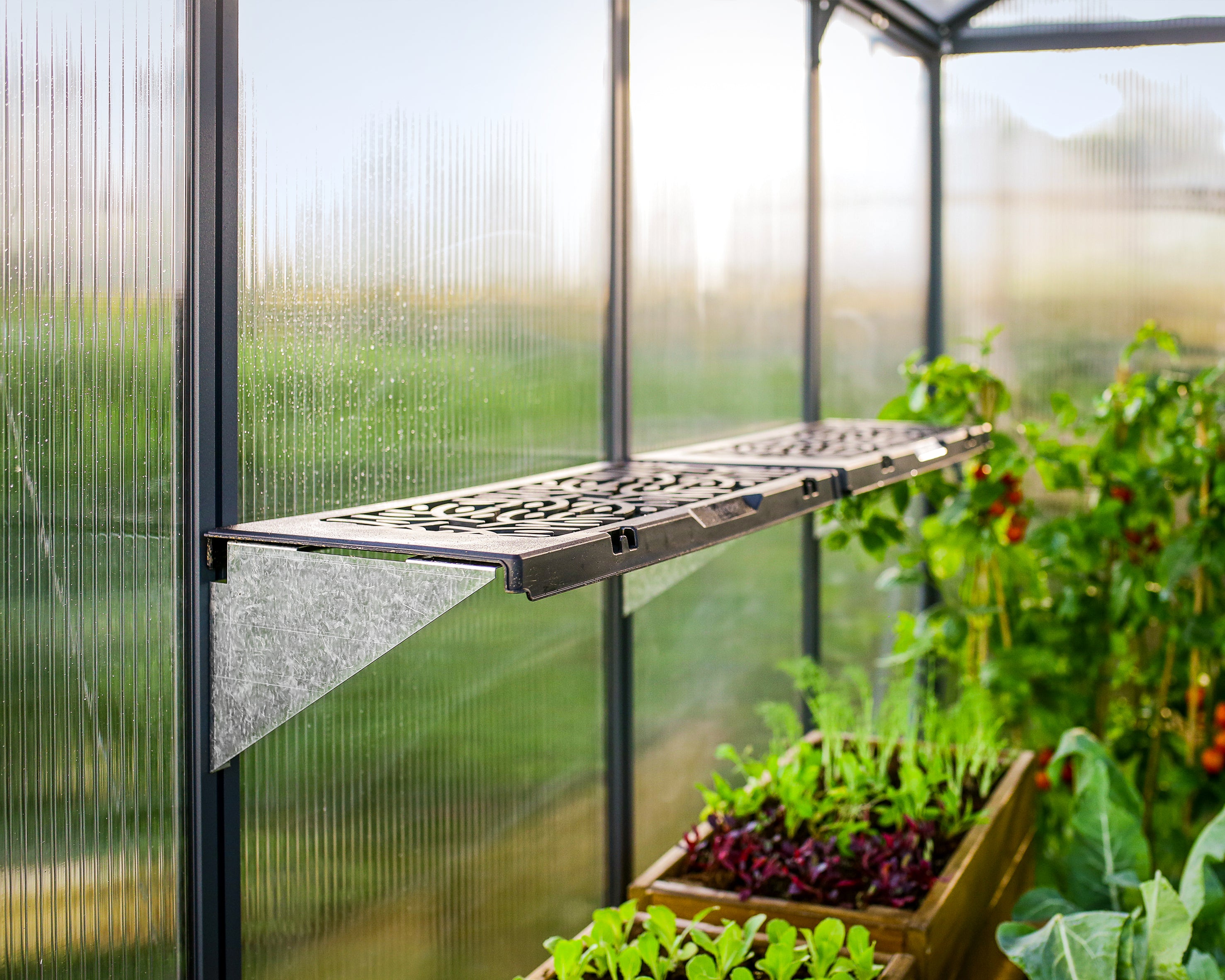 Signature Leaves Shelf Kit for Canopia Greenhouses (2PK)