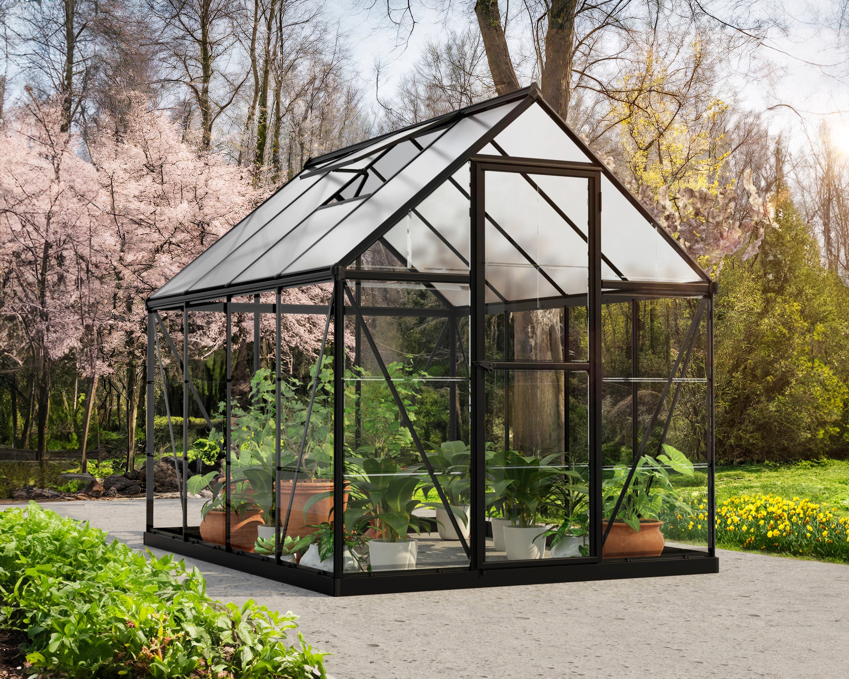 Hybrid™ 6x7X8.ft Clear Wall Greenhouse