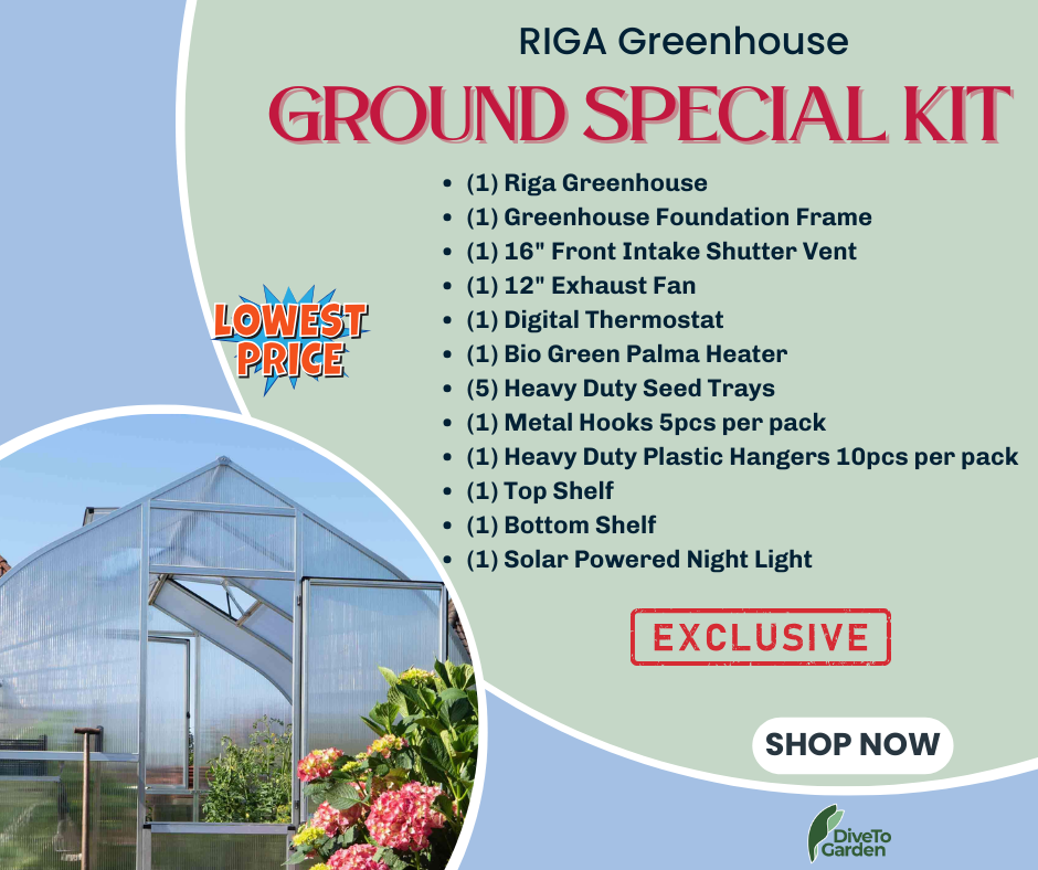 RIGA 4™ 10X7X14.ft Strong Poly Greenhouse