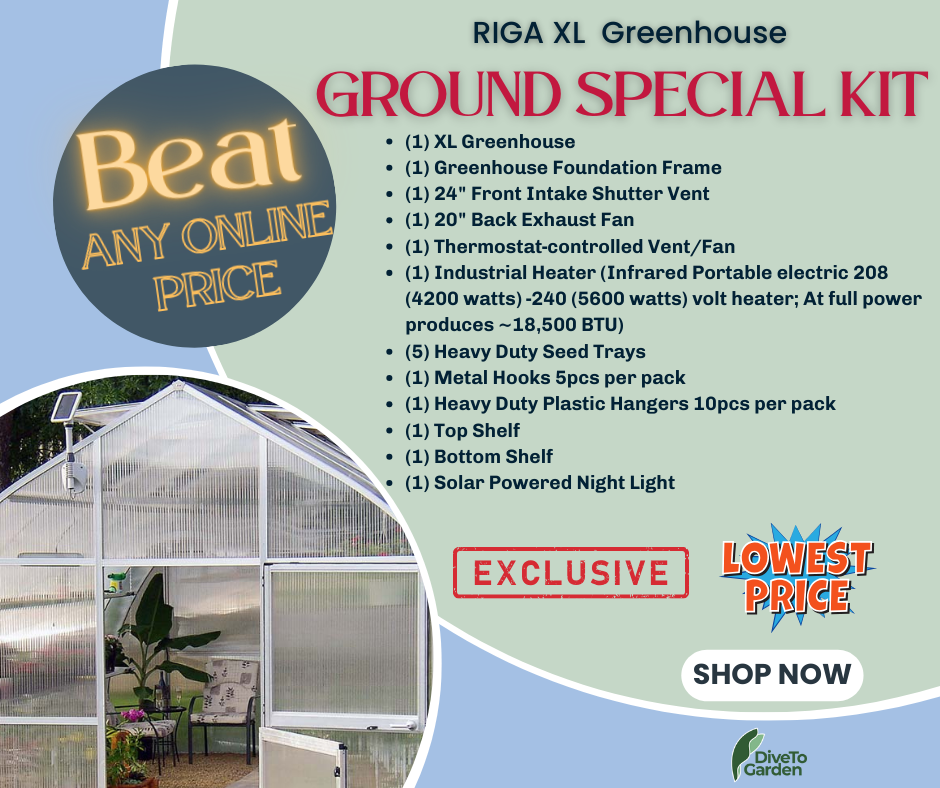 RIGA XL 9™ 14X9X30.ft Greenhouse