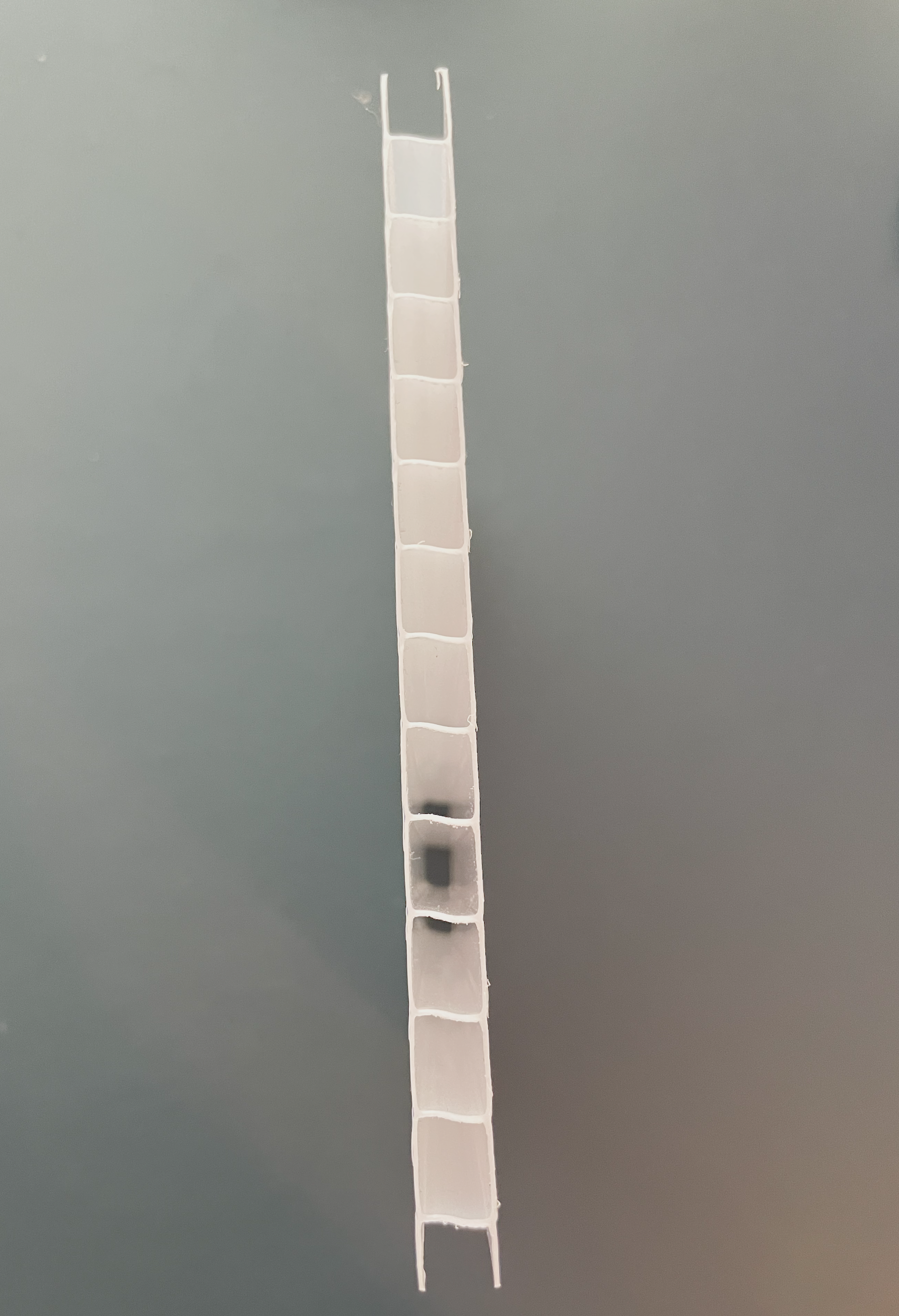 8mm (0.315