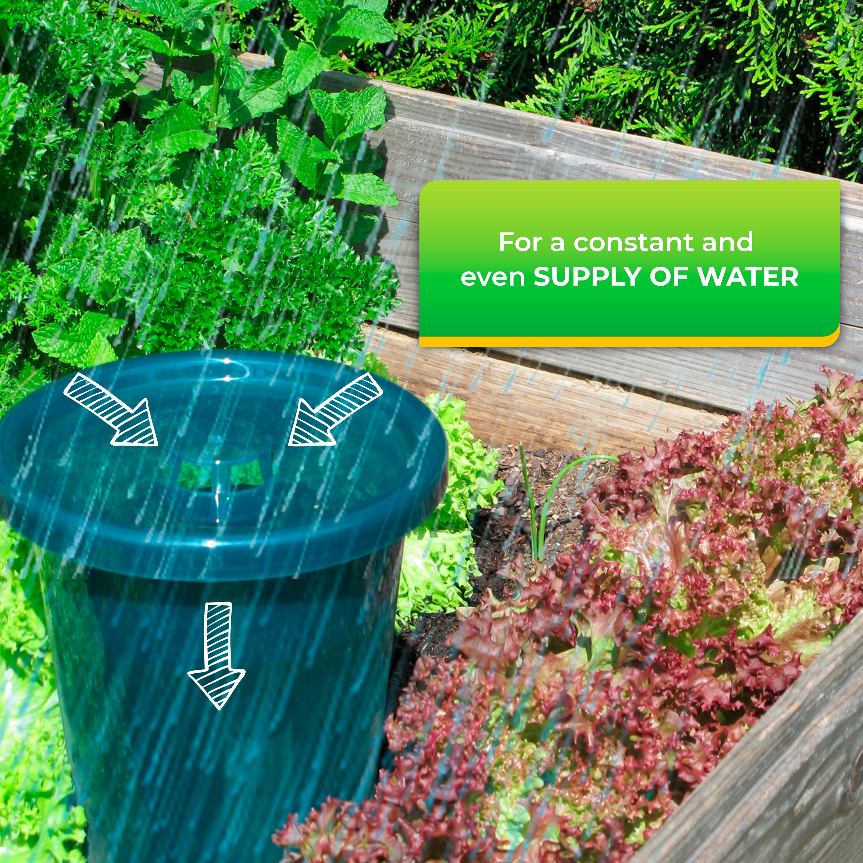 Hydro Cup Self Watering Spikes