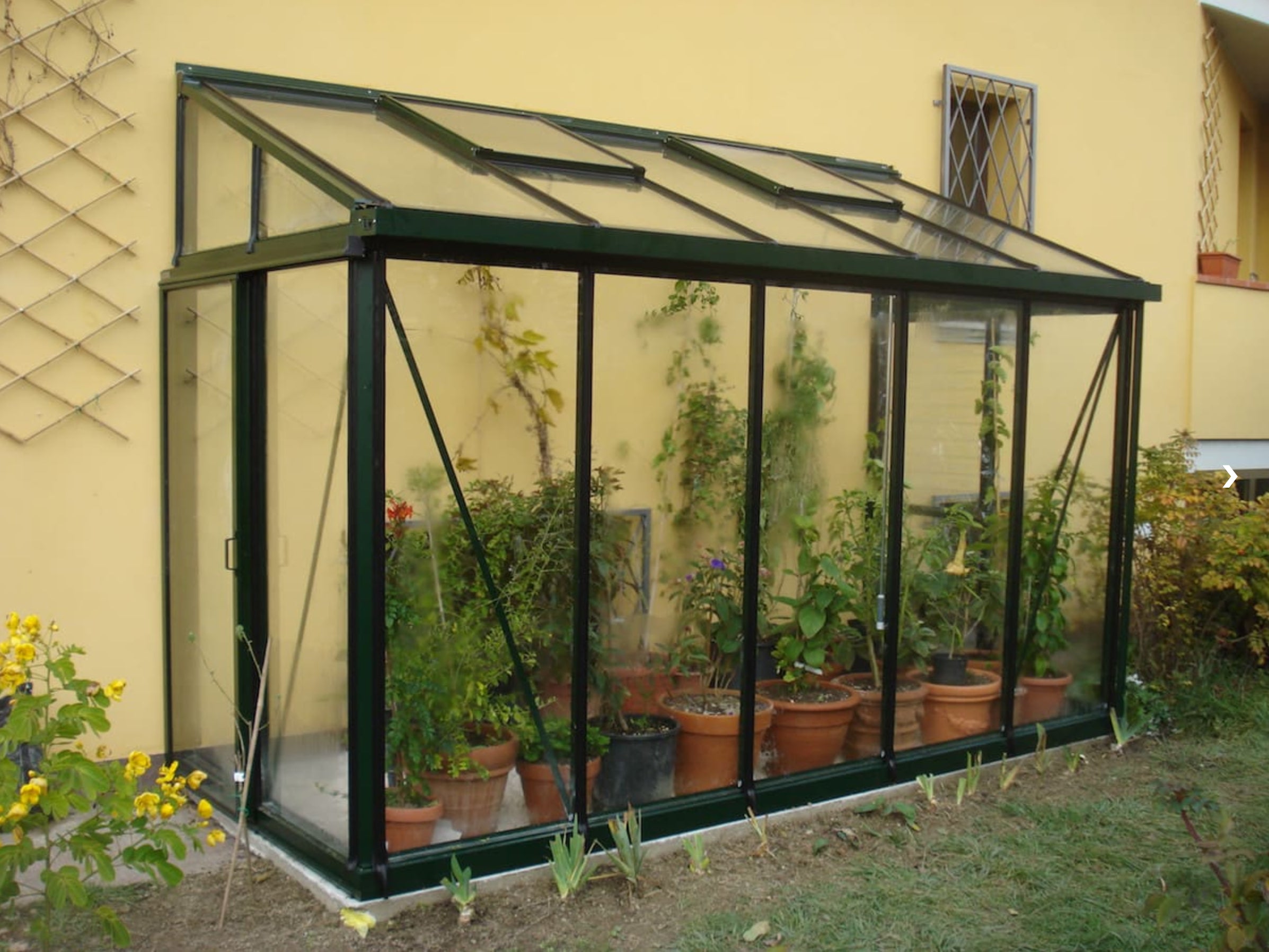 Arcadia Victorian Greenhouse - Arcadia™  Lean-to Glass House/Greenhouse
