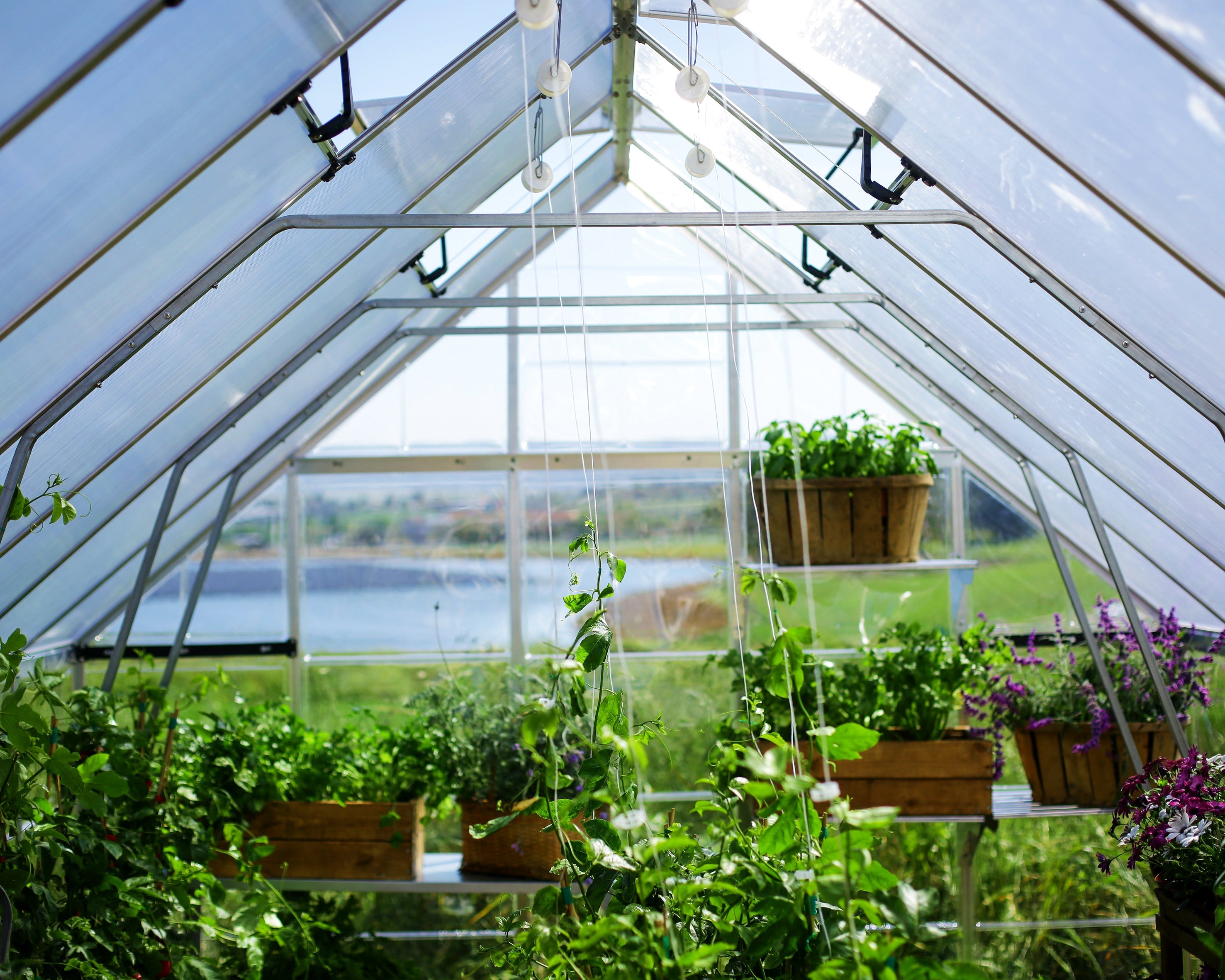 Balance Greenhouse - Balance™ 10x8x28.ft Clear Wall Greenhouse