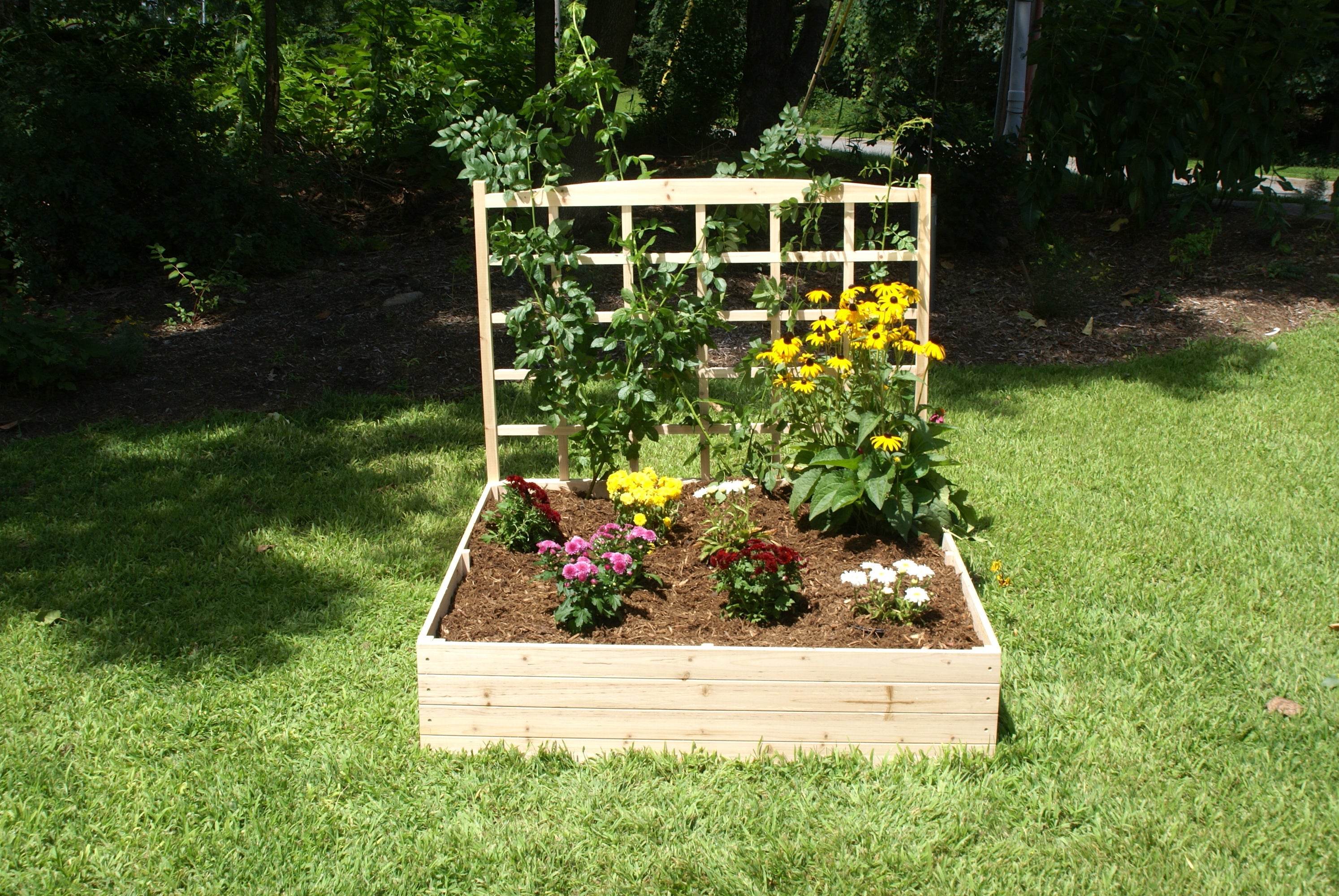 Eden Garden Bed - Eden™ 4'X11